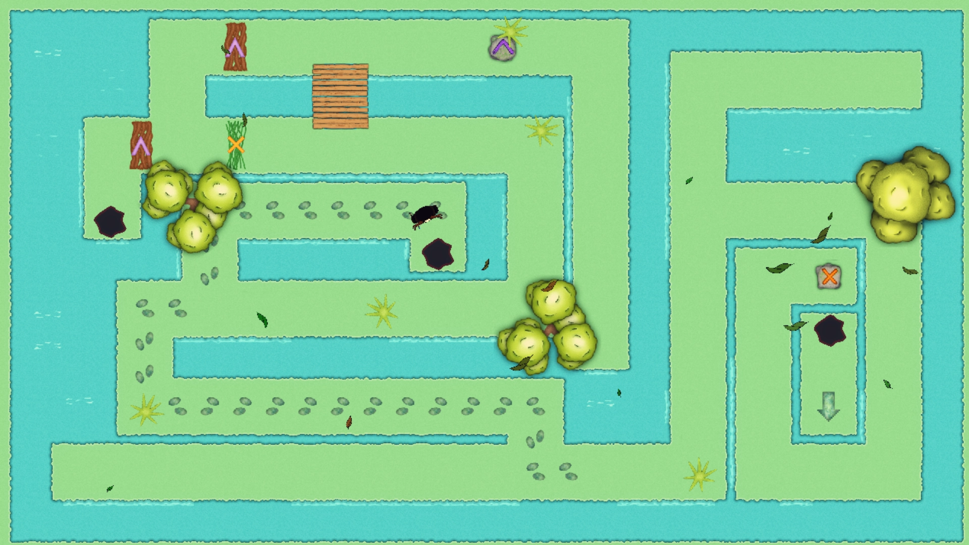 Biome des zones-humides